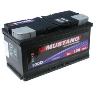 Akumulator Mustang 12v 100ah 800a D+
