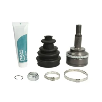 Homokinetički zglob Renault Megane 1.9dCi 2001 Pascal