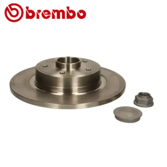 Kočioni diskovi zadnji par RENAULT GRAND SCENIC II LAGUNA II LATITUDE 03-19 BREMBO