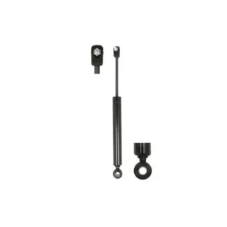 Amortizer haube DAF XF