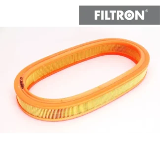 Filter vazduha Filtron AE250 Ford Escort Fiesta 89-