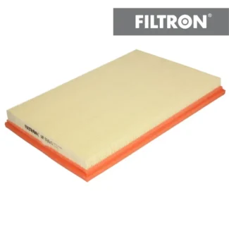 Filter vazduha Filtron AP030/1 BMW X5 3.0si 06.-13.