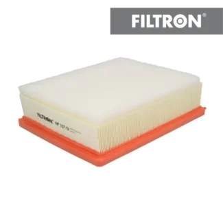 Filter vazduha Filtron AP137/9 Nissan NV300 dCi 14-