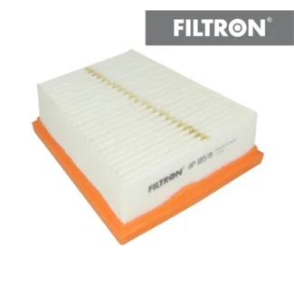 Filter vazduha Filtron AP185/8 Megane Scenic III 2.0 08-