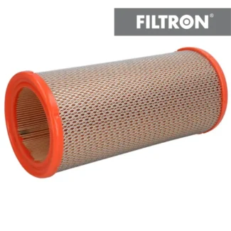Filter vazduha Filtron AR257/1 Renault Megane R19 1.9 DTI