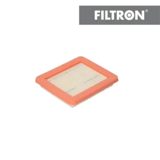 Filter vazduha Filtron AP199/11 Briggs and Stratton