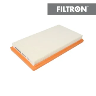 Filter vazduha Filtron AP111/1 Mazda 323 2.0 TD 98-03