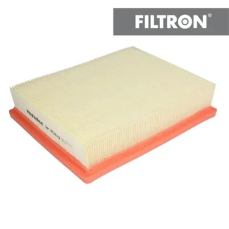Filter vazduha Filtron AP058/1 Peugeot 306 1.6 00-02