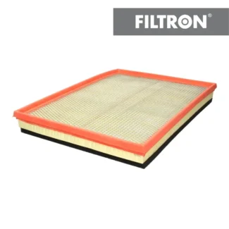 Filter vazduha Filtron AP137/8 Rvi Mascott DXi3 04-13