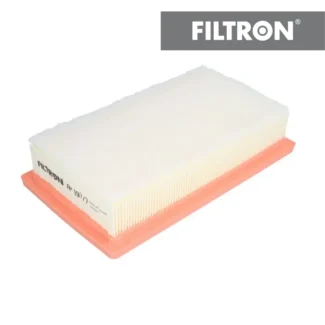 Filter vazduha Filtron AP197/7 Kia Rio 1.0-1.6D 17-