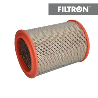 Filter vazduha Filtron AR252 Dacia