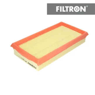 Filter vazduha Filtron AP134/3 Renault Clio II Kangoo 98-04