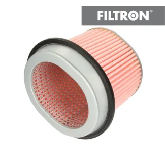 Filter vazduha Filtron AM433 Hyundai Lantra Sonata