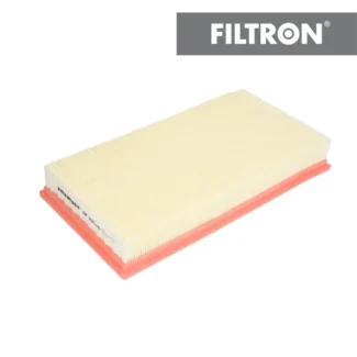 Filter vazduha Filtron AP193/6 Jaguar S-Type V8 99-07