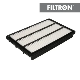 Filter vazduha Filtron AP172/3 Pajero 3.2 DI-D 00-