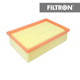 Filter vazduha Filtron AP130/2 Peugeot 206 2.0 HDi 00-