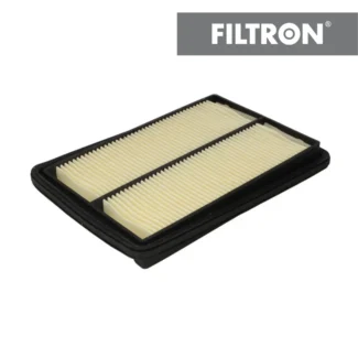 Filter vazduha Filtron AP124/2 Renault Kadjar 1.2-2.5 13-