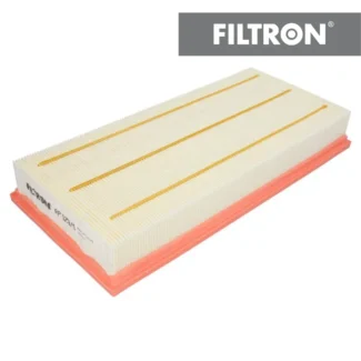 Filter vazduha Filtron AP129/9 Discovery IV 2.0-5.0 09-