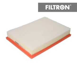 Filter vazduha Filtron AP137/5 Renault Master III 3.0dCi 03-