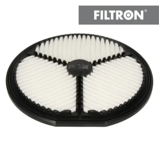 Filter vazduha Filtron AK317 Daewoo Tico 0.8 92-00