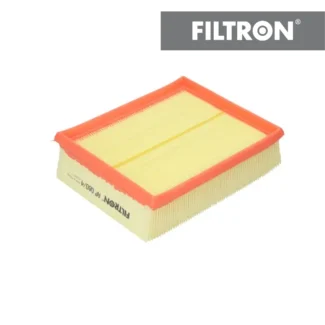 Filter vazduha Filtron AP080/4 Peugeot 206 98-